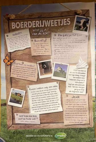 SSC B extern schaken in de polder, 6 nov 2023